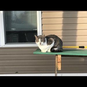 Meet your Posher, Alex